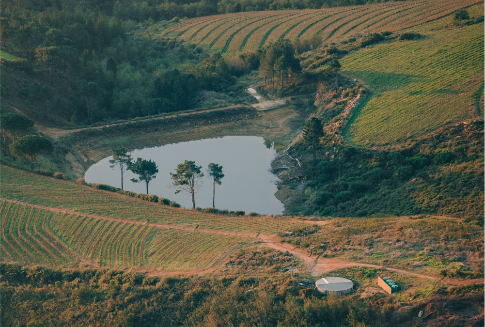 Cabanga Voices #029 | Turn your Farm into a Holiday Resort