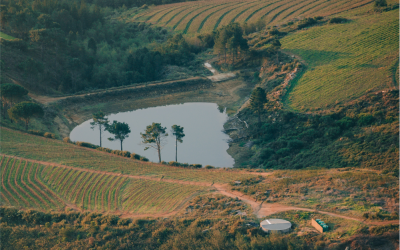 Cabanga Voices #029 | Turn your Farm into a Holiday Resort